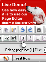 Try the wordserver software page editor live and see your results published instantly online.